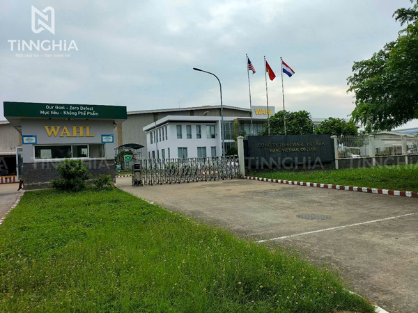 Chữ inox vàng gương sáng chân